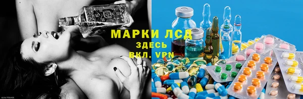 дмт Липки