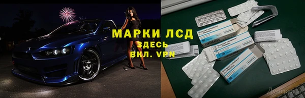 крисы Магадан